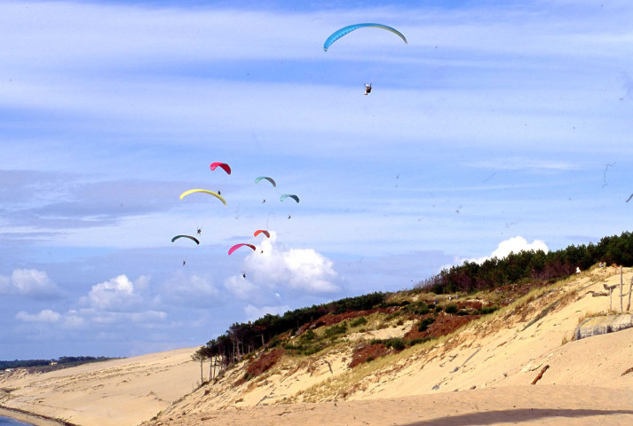 Diapositives (septembre 2000, juin 2003).