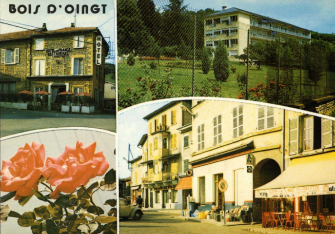Bois-dOingt (Le)
