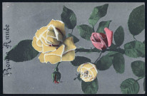 Deux roses jaunes et une rose rose.