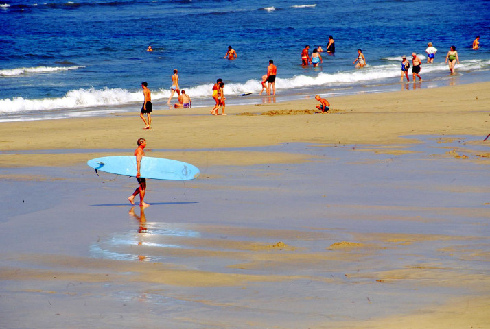 Scènes de vie (septembre 1999, septembre 2000, juin 2003, juillet 2004).