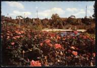 Lyon. La roseraie du parc de la Tête d'Or, l'une des belles d'Europe. Les roses par milliers.