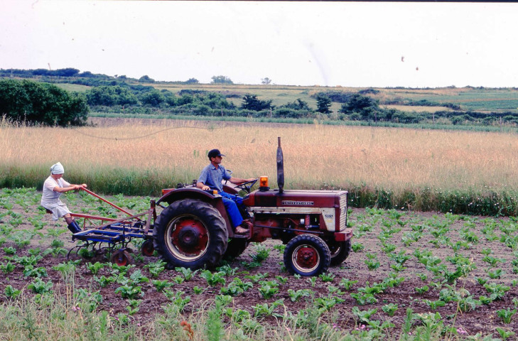 Diapositives (juin 1983, juillet 1993, janvier 2000, juillet-août 2002, mai 2003, août 2005).