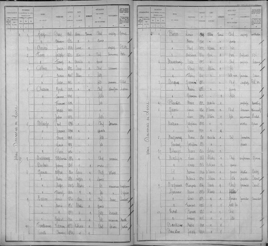 DUMAS-DE-LOIRE (RUE)