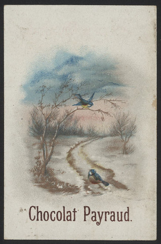 Sentier sous la neige avec deux oiseaux.