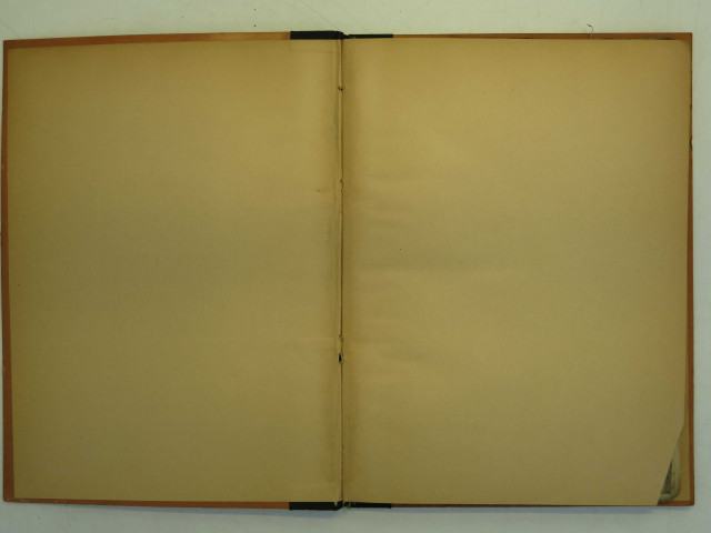 Répertoire des actes concernant l'Hôtel-Dieu de Lyon.