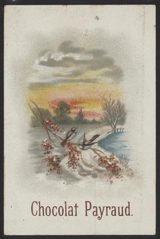 Sentier sous la neige avec deux oiseaux et branche fleurie.