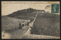 Saint-Cyr-au-Mont-d'Or. Le Grapillon (montée du Mont-Cindre).