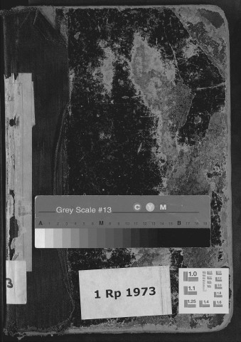 Lyon Central : n° matricules 1-500