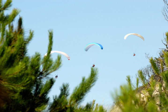 Images numériques (juillet 2007).